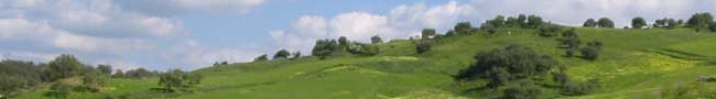 Tadukli
